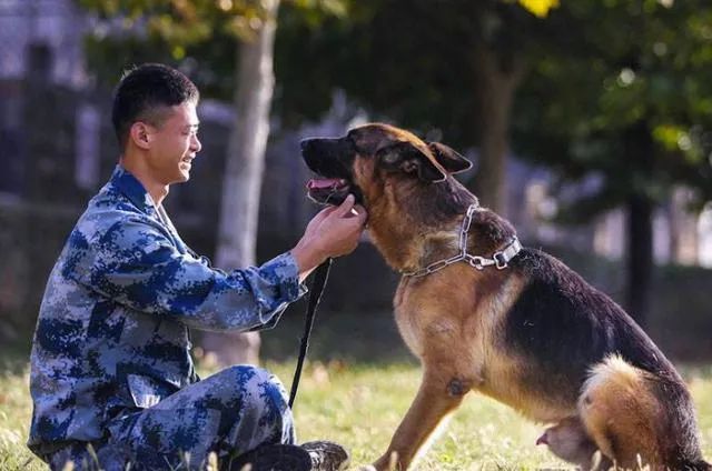 一部惨烈的"犬王",把姚守岗及部分参与者,牢牢地钉在耻辱柱上; 一些