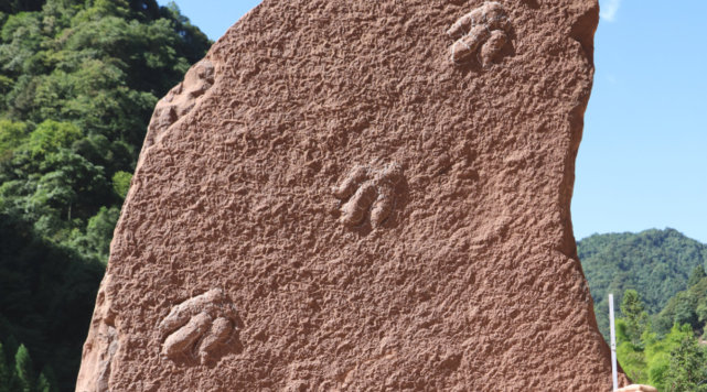 恐龙的脚印像什么形状图片