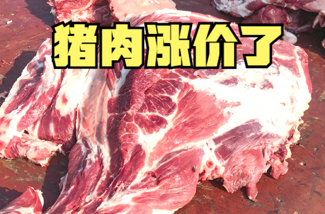 最近猪肉涨价了表情包图片