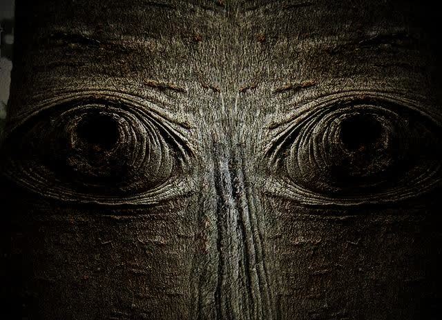 民间邪性故事:妖异树眼