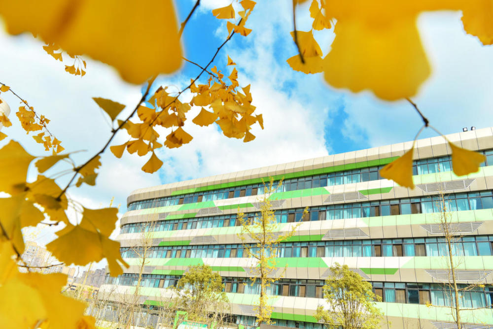 天府名校丨成都东辰:风鹏正举 蓄势待发_腾讯新闻