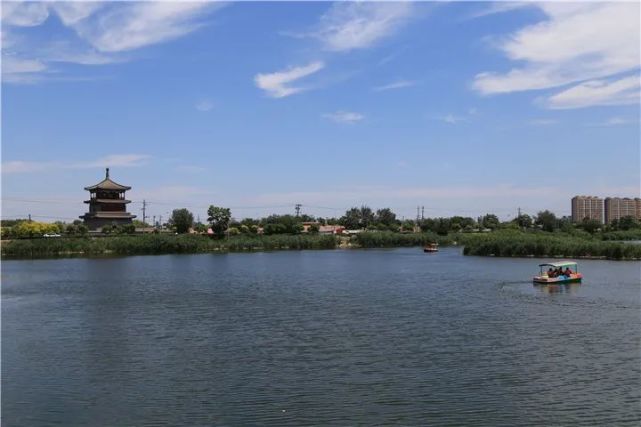 影像記錄丨河北霸州勝芳鎮溼地公園水清岸綠景美