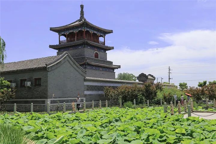 影像記錄丨河北霸州勝芳鎮溼地公園水清岸綠景美