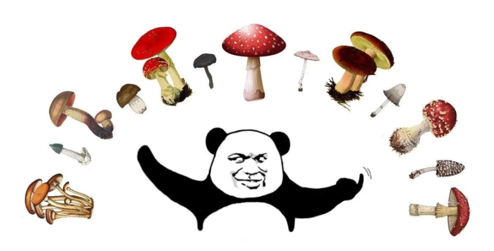 不过,近期云南野生菌大量生长,操心的网友们也担心起了大象, 它们会不