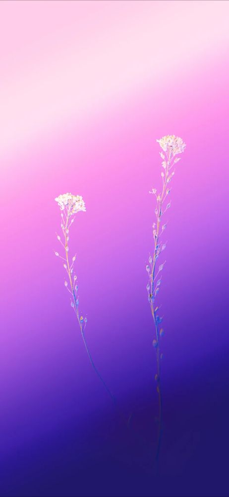 全面屏壁纸|微信聊天背景