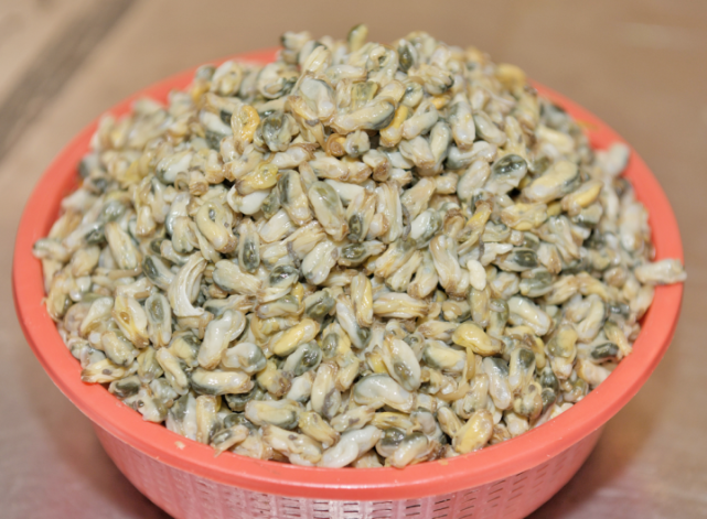 潮食薄壳宴飘香个小名气大