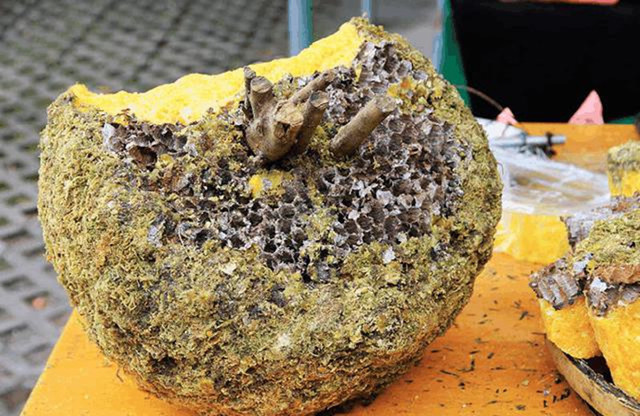 农村老奶奶集市上购买80块1斤的蜂蜜知道真相后后悔极了