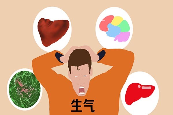 经常生气的人,肝容易受到损伤,所谓怒而伤肝,生气会阻碍肝气的正常