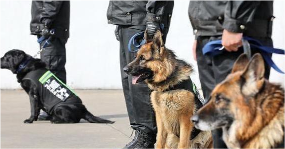 为报复社会,4年杀害14人,手段极其残忍|金春日|延吉市|金光镇