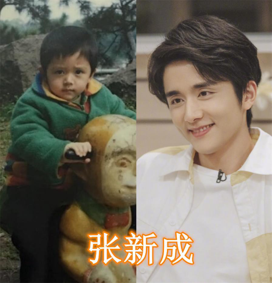 你为什么喜欢张新成张新成童年照撞脸谭松韵奇妙的缘分