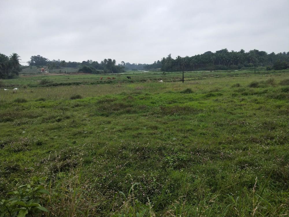 农村耕地处罚标准将出台农民三大行为将遭处罚耕地滥用将收费