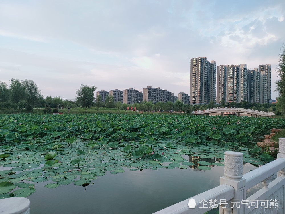 信阳息县龙湖公园