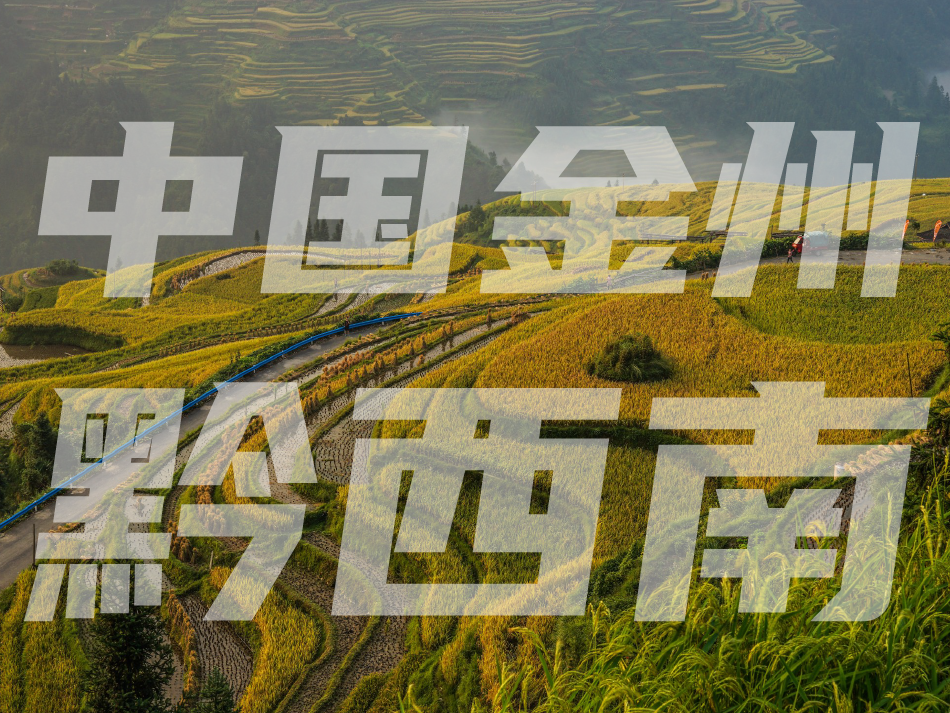 中国金州 腾讯网
