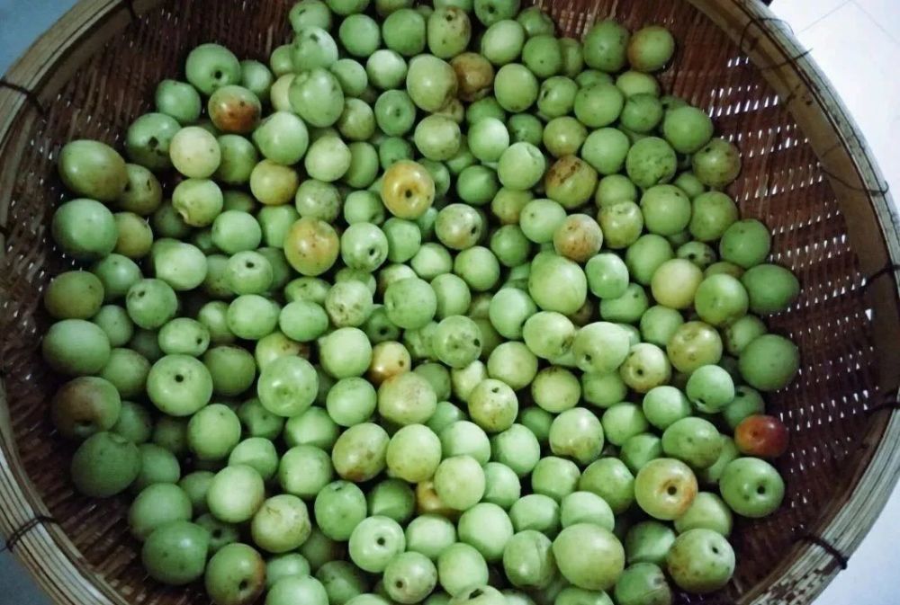 腌酸梅做法,无任何添加剂,只要一种调料,酸甜又香脆,放几年都不坏_腾