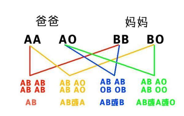 媽媽是o型血,寶寶不會是ab型血,這些血型遺傳規律你知道嗎?