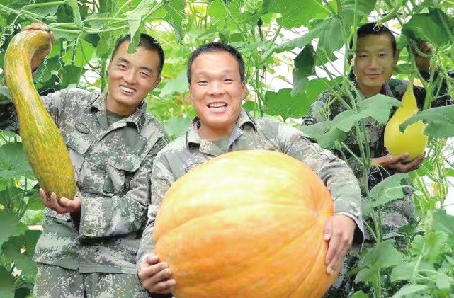 聊城退役军人相国军在北极哨所种出满棚蔬菜瓜果