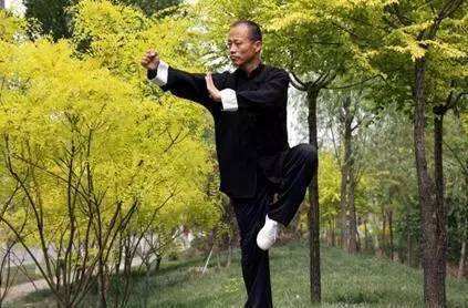 古代四大真实功夫 第二咏春拳 铁砂掌一招致命 一般人练不起