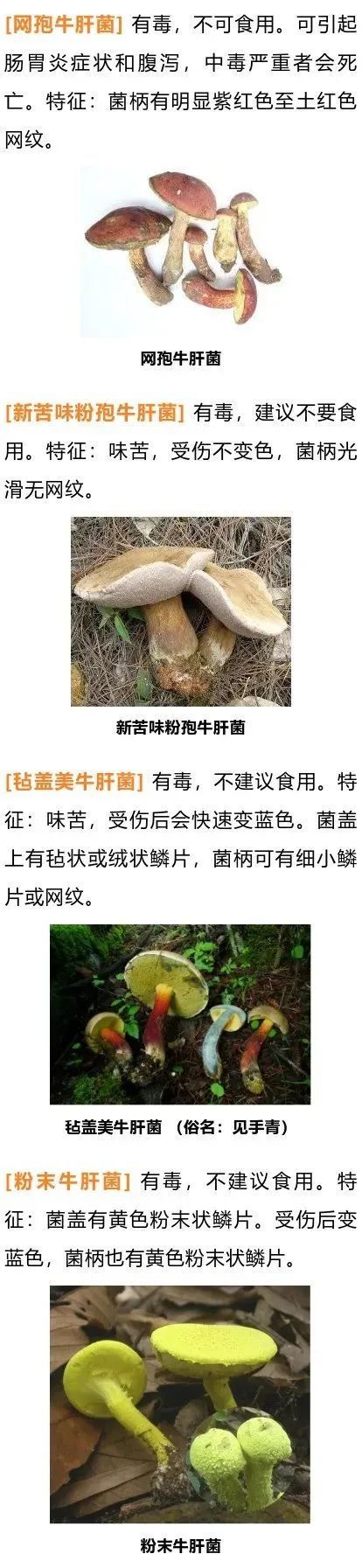 关注食品安全丨劝君慎食牛肝菌