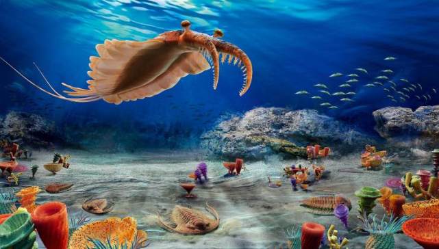 让海洋变得熙熙攘攘,地球完成了从隐生宙到显生宙的跨越
