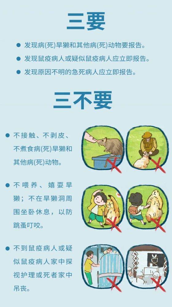 最后,专家表示,去旱獭鼠疫疫源地旅行时,要谨记:不要接近,投喂,触摸