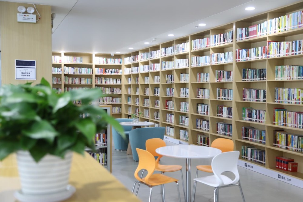 双胞胎学霸同时考入清华一个647分一个649分让人佩服