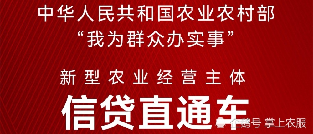 信贷直通车 实绩 直通车落地情况汇总 腾讯新闻