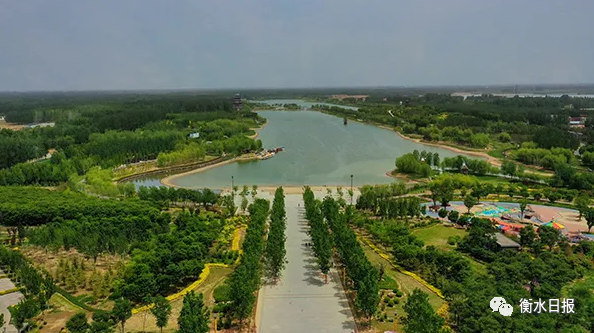 衡水:满眼绿意葱茏 生态画卷绘就