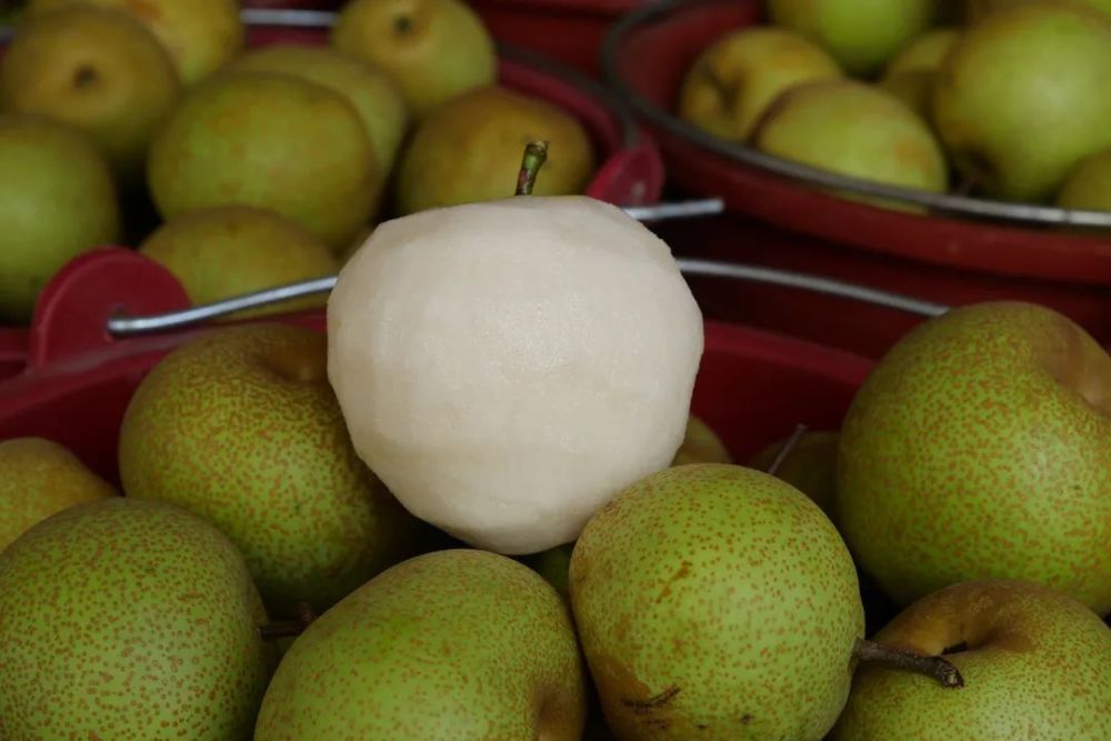 夏日限定!清流蜜雪梨,盛夏冰爽甜甜蜜蜜