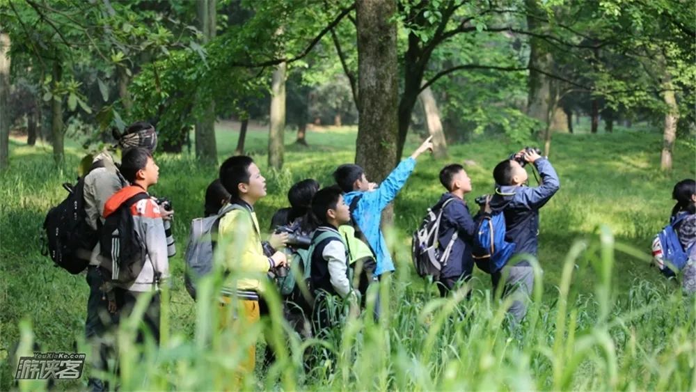 本周招募老山森林公园自然科普课堂观爱鸟类保护生态