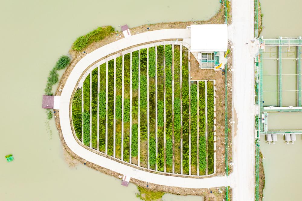 金山人 这个村为你承包了整个鱼塘 腾讯新闻