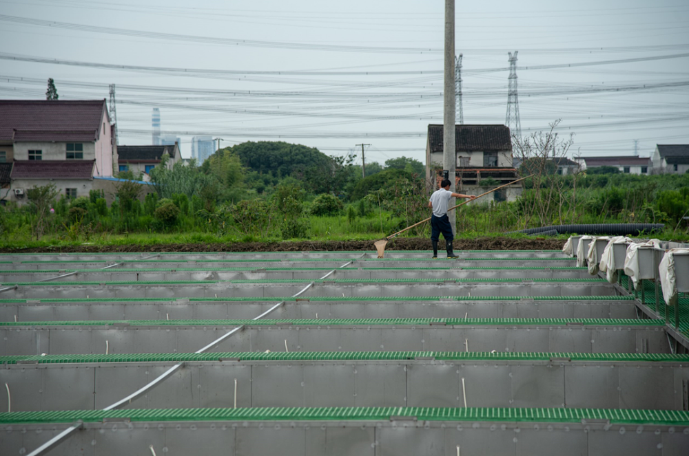 金山人 这个村为你承包了整个鱼塘 腾讯新闻