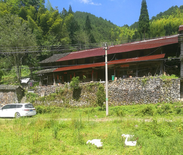 揭秘2000年罗垟古村之谜:殡葬商贩为揽生意,6年间毒害76名村民