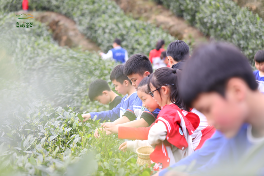 非遺研學美食文創第八屆旅博會在樂山驚豔亮相