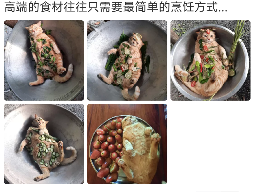 搞笑网友的欢乐日常