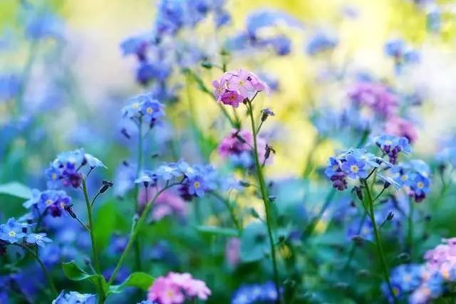 腾讯内容开放平台