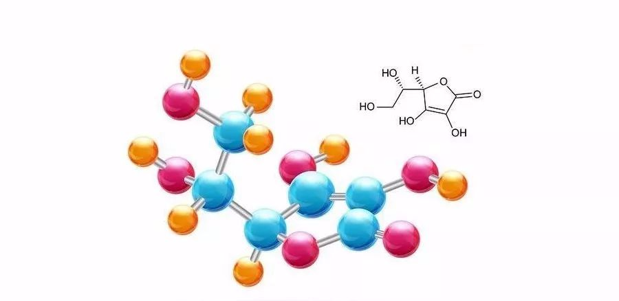 【腸道健康】雙歧桿菌:人體健康的標杆