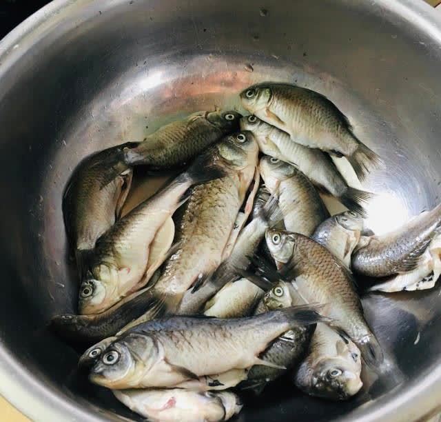 鯽魚豆腐湯,湯色濃白,香味撲鼻