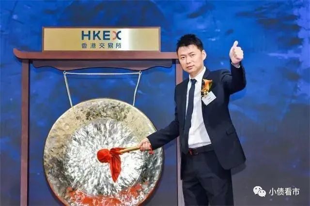 新力地产陷求救信风波：极速狂奔300亿有息负债压顶(图6)