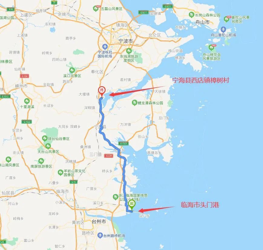 兩隻海豚浙江擱淺 放歸大海25分鍾後又往岸邊遊
