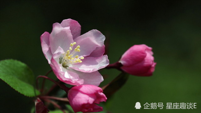 7月10日星座运势 金牛积极主动 狮子越挫越勇 双鱼深思熟虑