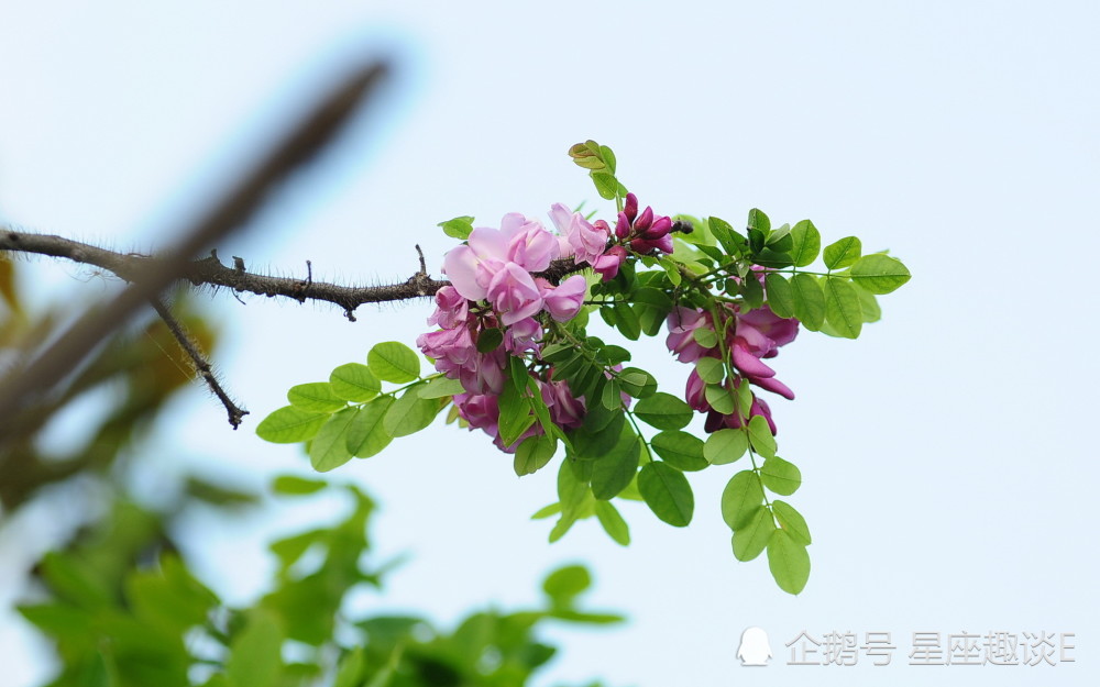 7月10日星座运势 金牛积极主动 狮子越挫越勇 双鱼深思熟虑 腾讯新闻