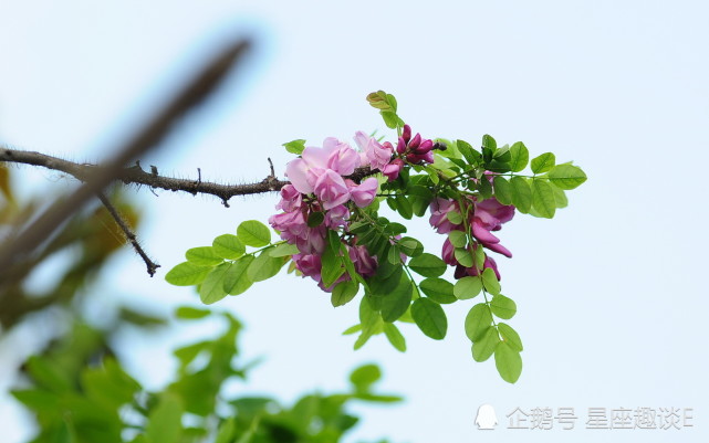 7月10日星座运势 金牛积极主动 狮子越挫越勇 双鱼深思熟虑