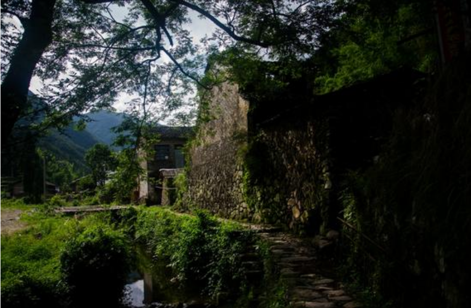 短短几年时间,罗垟村就从一个远近闻名的旅游胜地,变成了大家谈之变色