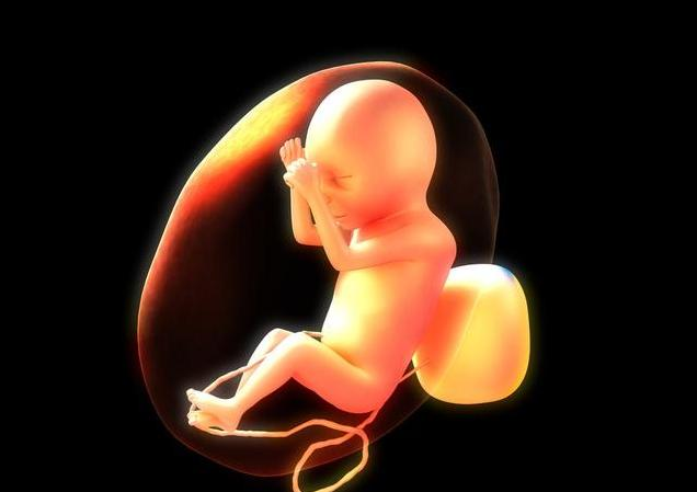 怀孕13周 能看出胎儿的性别吗 腾讯新闻