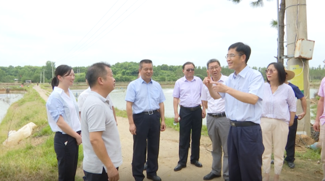 7月9日61一分钟纵览今日蕲春热点|何良法|蕲春县|张社教|农村集体