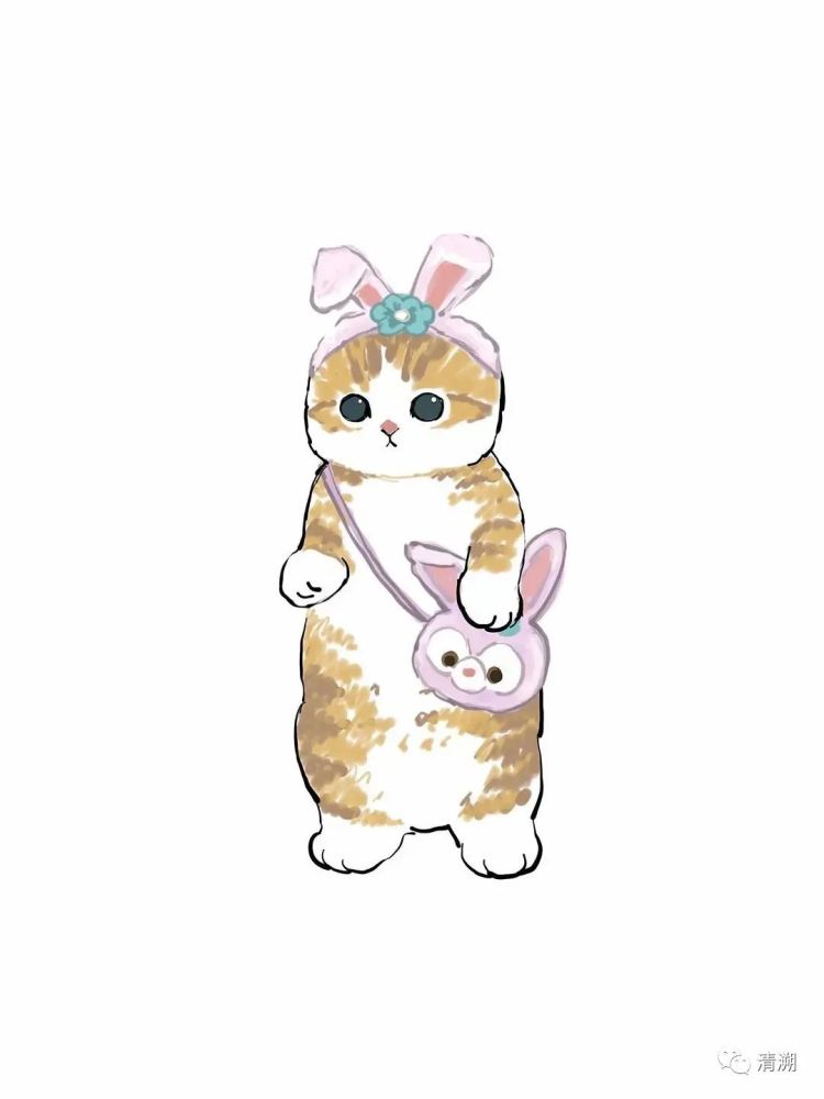 喵咪小知识:刚出生的小奶猫眼睛大部分都是蓝色的.