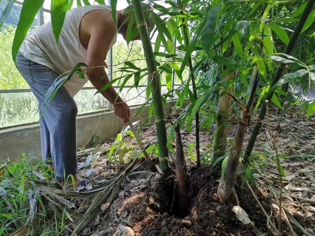 腾讯内容开放平台