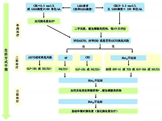 2021版中国lada共识抢先看周智广教授解读四大更新要点