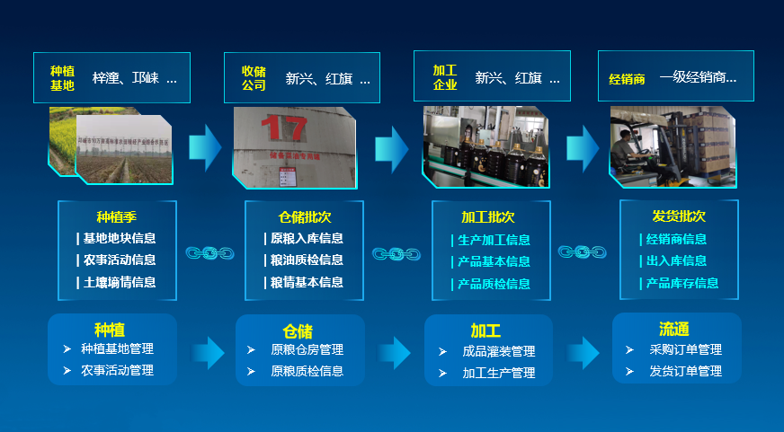 建立以產品追溯碼為主線的質量追溯數據鏈條,已助力四川糧油集團建設