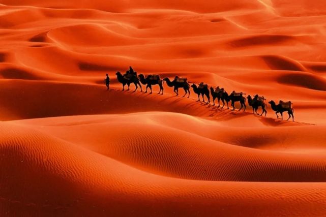 沙漠广布的国家图片
